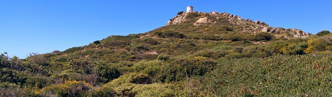 The conference island — DjangoCon Europe 2014