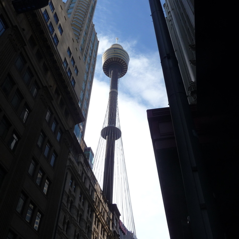 Look at the Sydney Tower