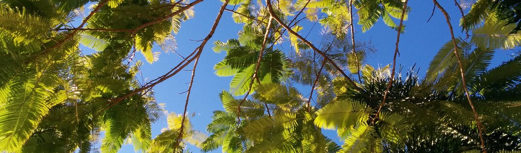 Mission Beach and Townsville