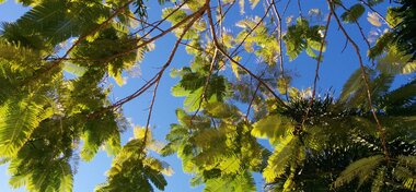 Mission Beach and Townsville