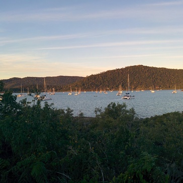 View on one of the harbours in Airlie Beach