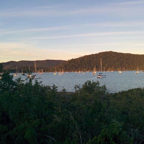 View on one of the harbours in Airlie Beach