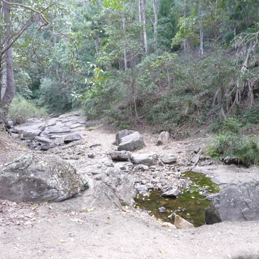 Track to Mount Coot-tha lookout