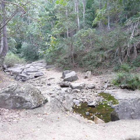 Track to Mount Coot-tha lookout