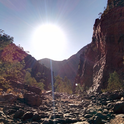 MacDonnell Ranges: Ormiston Gorge
