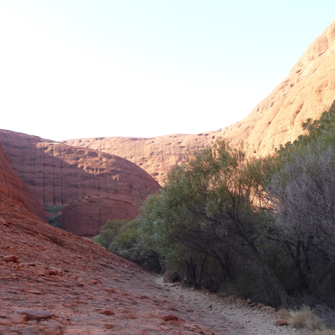 Kata Tjuta