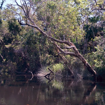 Upper Noosa River