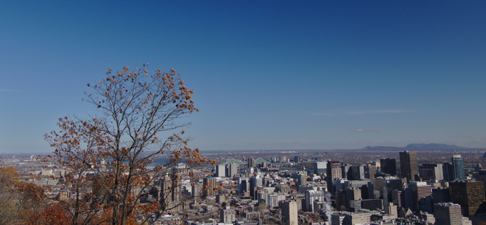 Oh, I Found a Security Issue